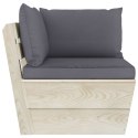  Ogrodowa sofa 2-osobowa z palet, z poduszkami, drewno świerkowe Lumarko!