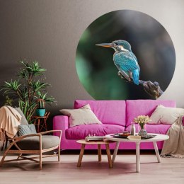  Okrągła fototapeta The Kingfisher, 190 cm Lumarko!