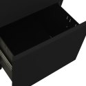  Mobilna szafka kartotekowa, czarna, 39x45x67 cm, stalowa Lumarko!
