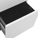  Mobilna szafka kartotekowa, jasnoszara, 39x45x60 cm, stalowa Lumarko!