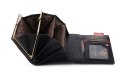 Duży skórzany portfel damski z portmonetką na bigiel — Peterson