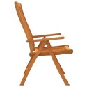 Składane krzesła ogrodowe, 2 szt., lite drewno eukaliptusowe Lumarko!