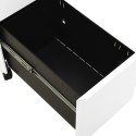 Mobilna szafka kartotekowa, biała, 30x45x59 cm, stalowa Lumarko!