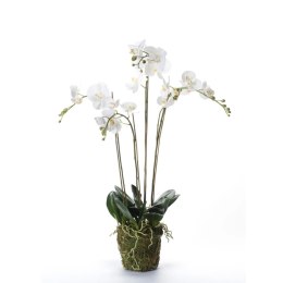 Sztuczny storczyk (falenopsis) z mchem, biały, 90 cm, 20.355 Lumarko