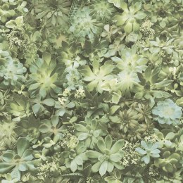 Tapeta Succulent, zielono-beżowa Lumarko