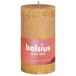 Bolsius Rustykalne świece pieńkowe Shine, 8 szt., 100x50 mm, miodowe Lumarko!