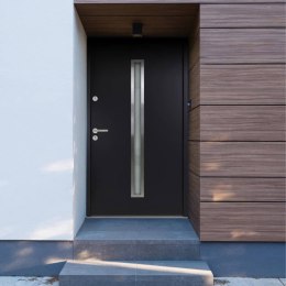 VidaXL Drzwi wejściowe, antracytowe, 100x200 cm, aluminium