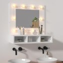 Szafka z lustrem i oświetleniem LED, biała, 60x31,5x62 cm Lumarko!