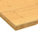 VidaXL Blat do biurka, 100x50x2,5 cm, bambusowy