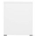 Szafka kartotekowa, biała, 46x62x72,5 cm, stalowa Lumarko!