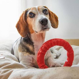 Zabawka dentystyczna dla psa Smile, 20x18x4 cm, czerwona  Lumarko!