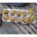 Worek do uprawy ziemniaków, 37 L, antracytowy  Lumarko!