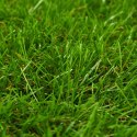 Sztuczny trawnik, 1,5 x 10 m; 40 mm, zielony Lumarko!