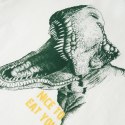 Koszulka dziecięca z krótkimi rękawami, z dinozaurem, ecru, 104 Lumarko!