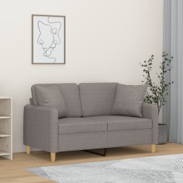 2-osobowa sofa z poduszkami, jasnoszara, 120 cm, tkanina Lumarko!