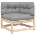 2-osobowa sofa ogrodowa z poduszkami, lite drewno sosnowe Lumarko!