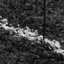 Dywan shaggy z wysokim runem, czarno-kremowy, 60x110 cm Lumarko!