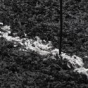 Dywan shaggy z wysokim runem, czarno-kremowy, 80x250 cm Lumarko!