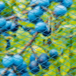  Siatka przeciw ptakom Nano, 10 x 4 m, niebieska Lumarko!
